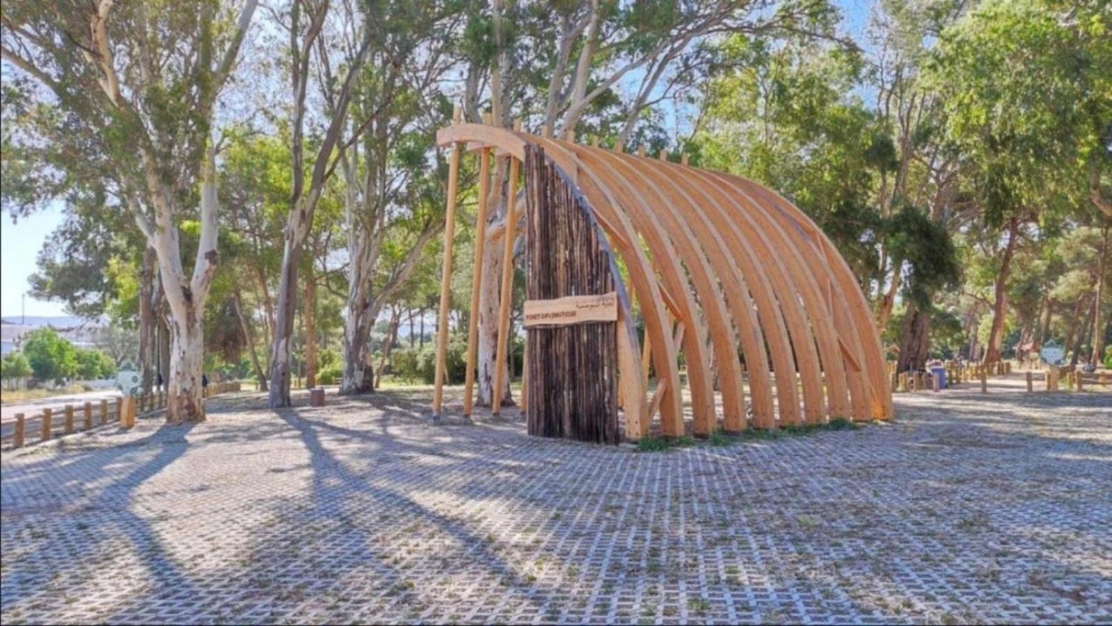 Charming, Peaceful House, Between Forest And Sea Tangier Bagian luar foto
